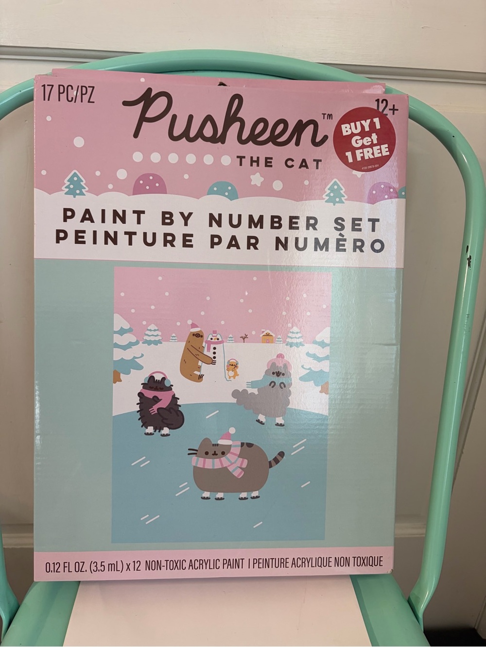 FYE Exclusive New Open Box Pusheen Paint By Number Winter Ice Skating Scene Kit